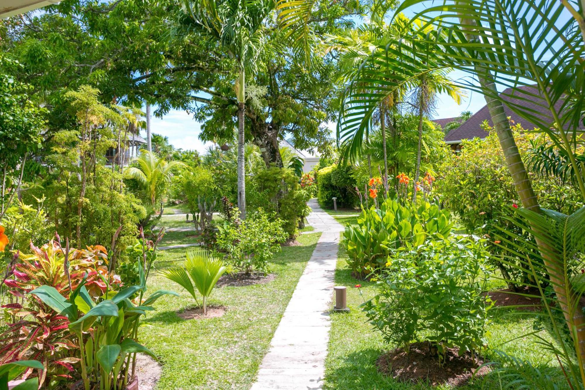 Les Lauriers Eco Hotel Anse Volbert Village  Luaran gambar